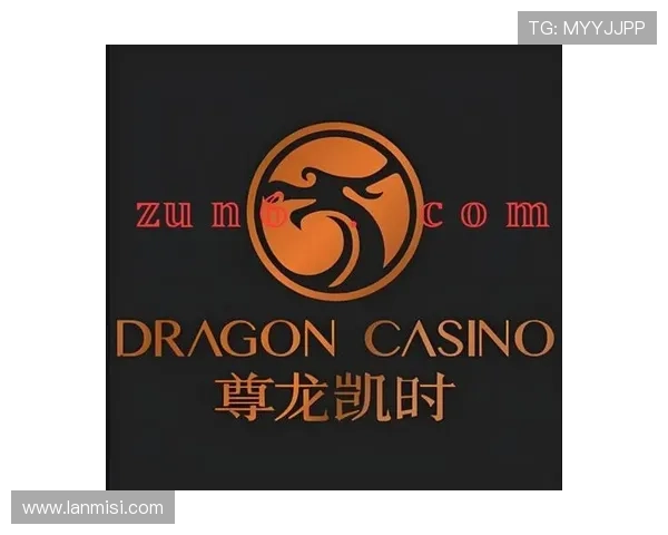 尊龙时凯官网入口:官方入口的访问速度优化与用户体验提升 尊龙时凯官网入口:官方入口的访问速度优化与用户体验提升