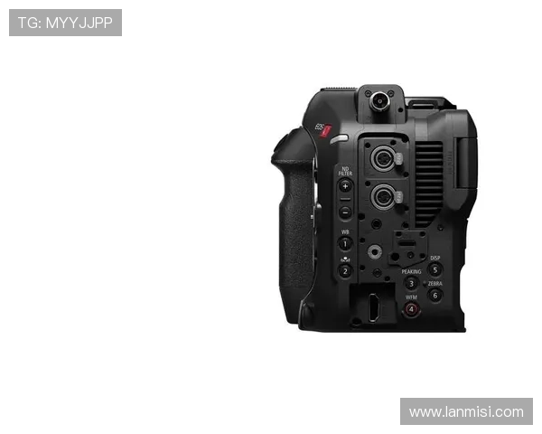 尊龙z6网娱乐app如何快速注册登录及账号安全保护措施介绍