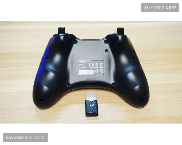 尊龙凯时官方下载i下载安装指南,详细步骤帮助新手快速上手畅玩游戏