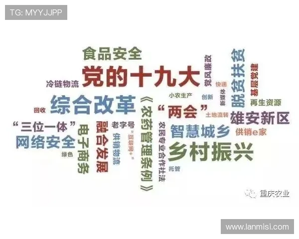 尊龙用现金一下指导ag发财网如何利用现金策略提升游戏盈利效率 尊龙用现金一下指导ag发财网如何利用现金策略提升游戏盈利效率